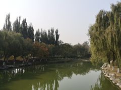 -大兴滨河森林公园