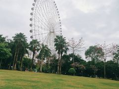 景点-凤岭儿童公园