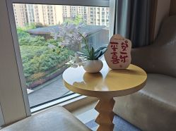 -大美母婴月子中心(希尔顿店)