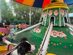 -厦门方特梦幻王国