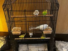 -湖里春风·淮扬菜(丽泽天街店)