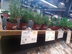 -果蔬好生活超市(乐堤港店)
