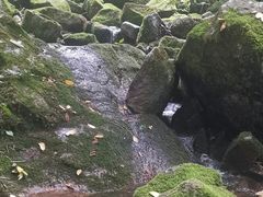 -陕西省红河谷森林公园