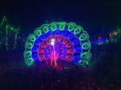 -顺鑫绿色度假村