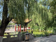 -文瀛公园