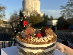 -5Cake五度无蔗糖低脂蛋糕(陶然亭店)