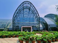 -南山植物园