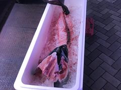 -大起水产回转寿司(道顿堀店)
