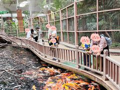 -南宫五洲植物乐园