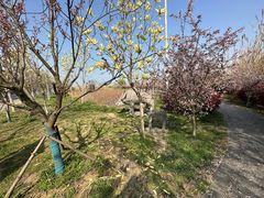 -泗洪洪泽湖湿地景区