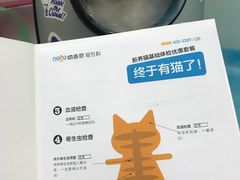 -纳吉亚猫专科动物诊疗中心(蒋宅口分院)