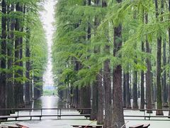 -渌洋湖湿地公园