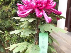 -汇龙潭