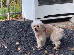 -南京金牛湖风景区