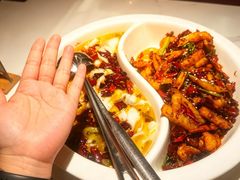 -禄鼎记·排队俩小时都要吃的酸菜鱼(石牌桥店)