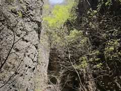 -野三坡百里峡景区