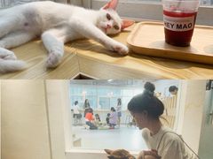-Heymao猫咖.咖啡厅(东门店)