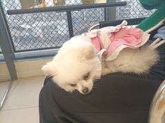 -怪兽屋·羊驼·猫咖·狗咖(俊华广场店)