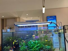 -锦江之星(广州海珠江泰路地铁站店)