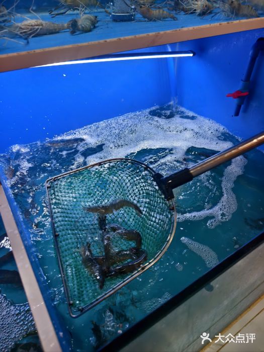 阿尔法海鲜排档(爱琴海店)图片