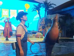 -三亚海昌梦幻海洋不夜城