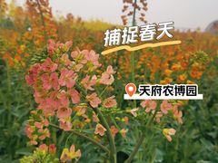 -中国天府农业博览园