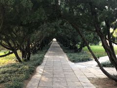 -洛阳古墓博物馆