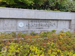 -上海崇明金茂凯悦酒店