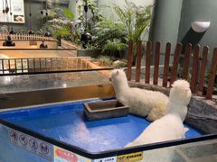 -上海大自然野生昆虫馆(东方明珠·爬宠昆虫探索中心)
