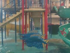 -南宫温泉水世界