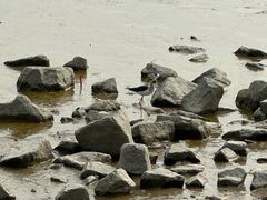 -深圳湾公园(南山区)