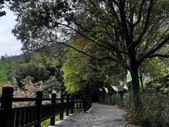 -九龙潭景区