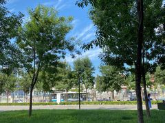 -首都医科大学附属北京天坛医院