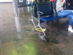 -谢列梅捷沃国际机场