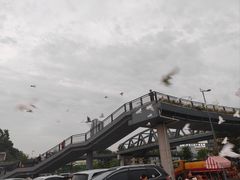 -番禺广场(市桥街道)