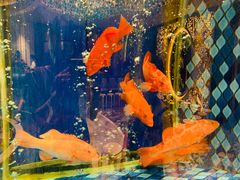 -陶陶居·雅园(凯华国际店)