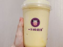 -一只酸奶牛(丹尼斯大卫城店)