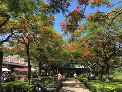 -缘生态云南菜·野生菌庭院餐厅(华侨城店)
