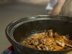 -百家春好德来姜母鸭