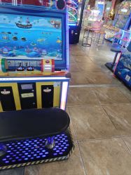 -卡通尼·Safari非洲探索乐园·生日会(金桥国际商业广场店)