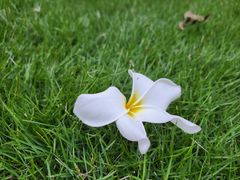 -三亚南山文化旅游区