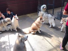 -TrueLove @ Neverland (Husky Cafe)