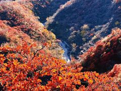 -水峪民俗村