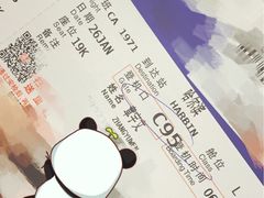-哈尔滨太平国际机场