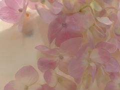 -山与蓝·轻糖鲜果蛋糕(勒泰店)