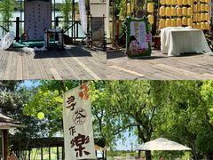 -天目湖山水园