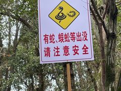 -千岛湖东南湖区
