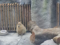 -武汉动物园