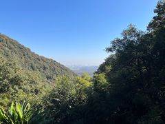 -韬光茶庵