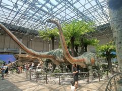 -国家自然博物馆